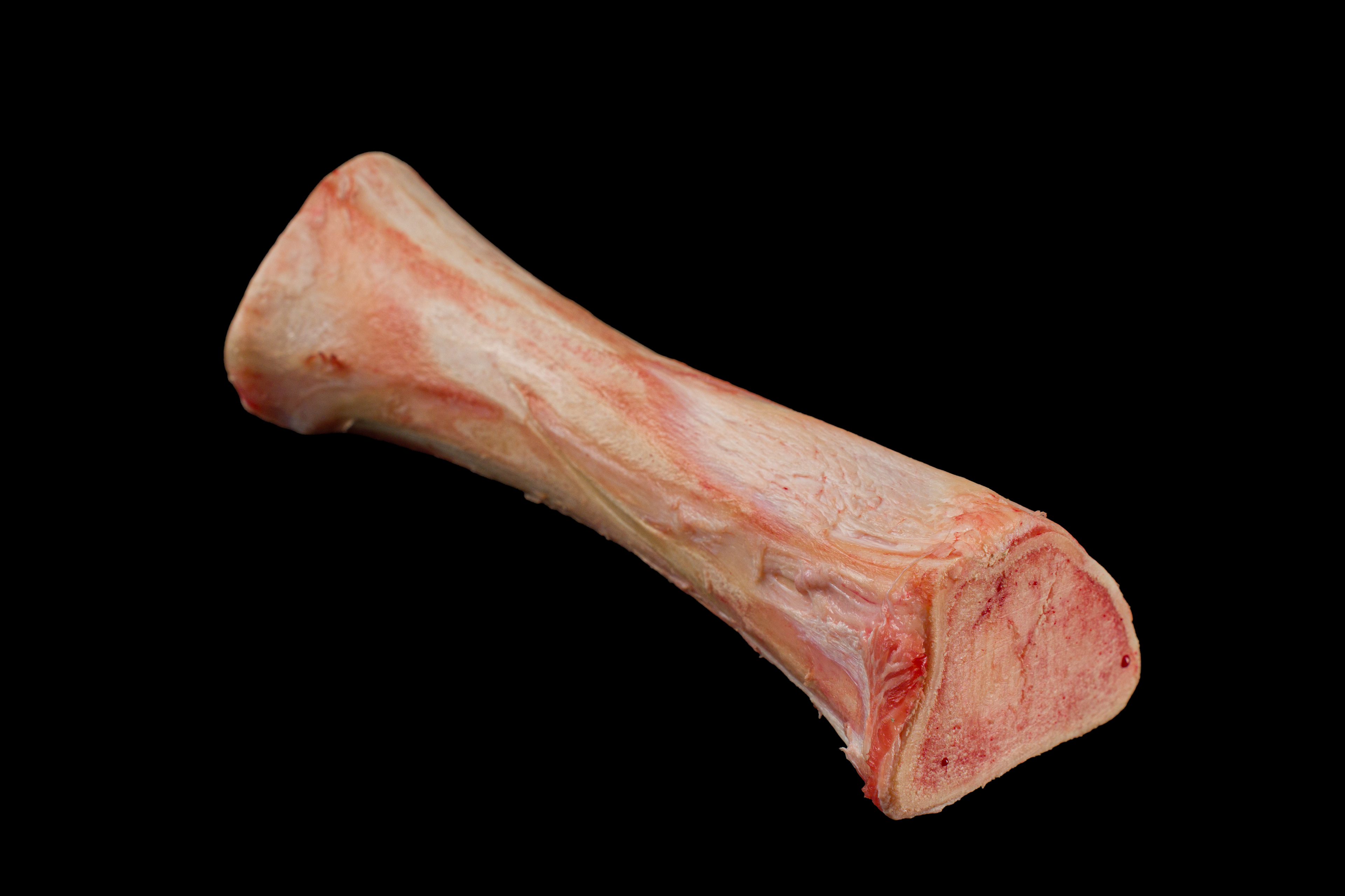 Kości rurkowe / szpikowe